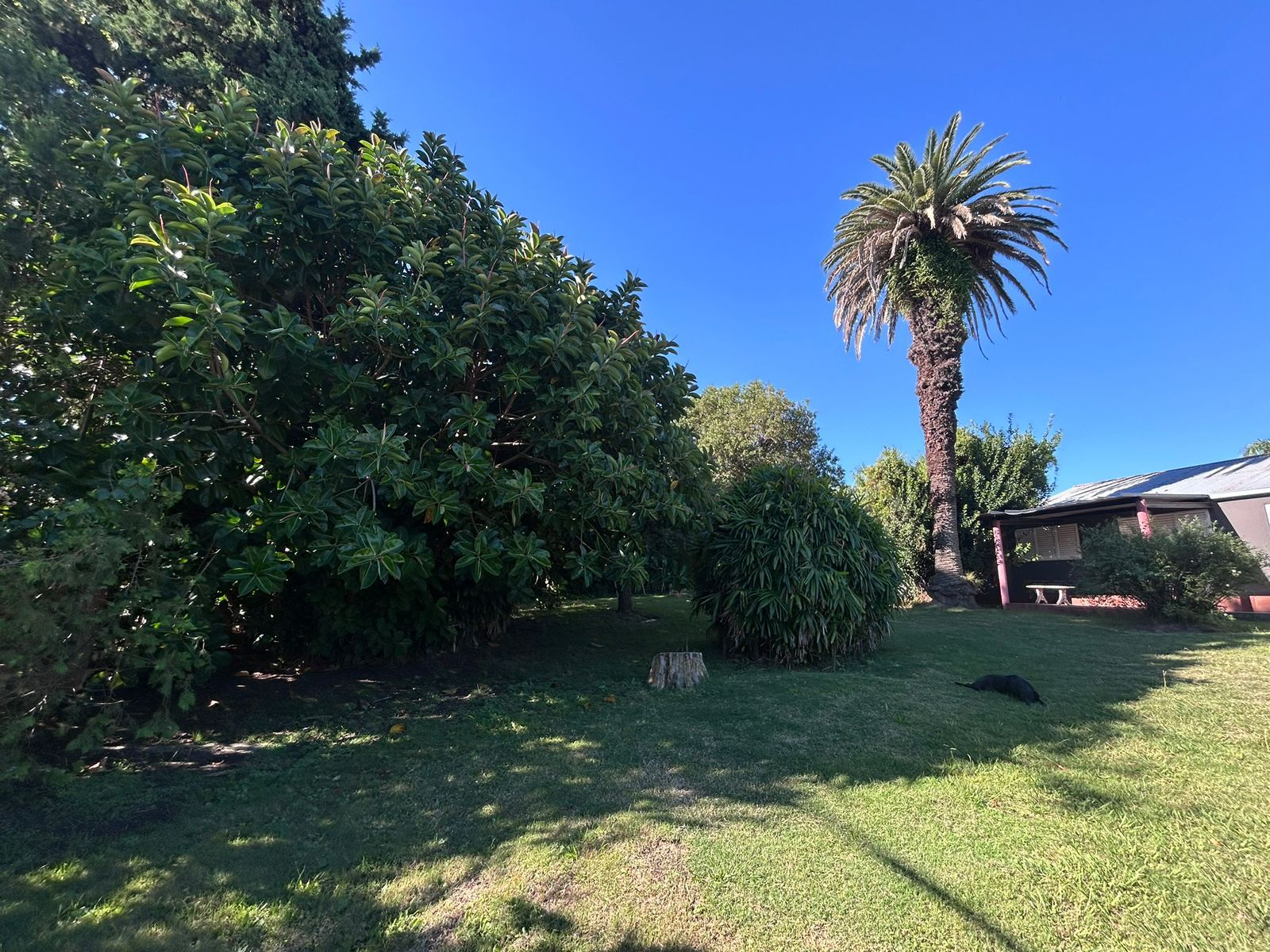 Calle Gobernador Manuel Crespo 3180