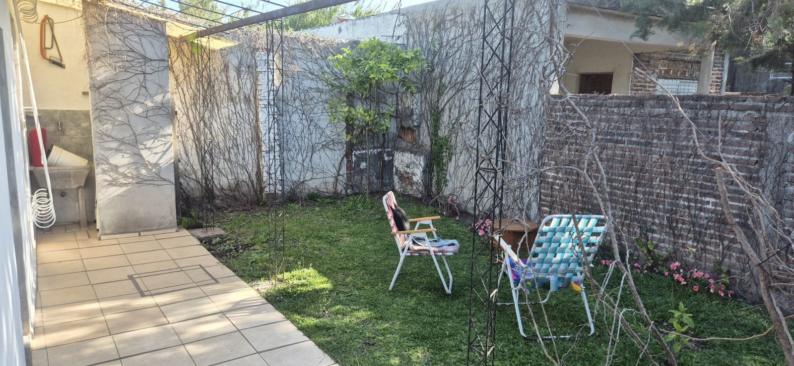 EL PALENQUE  2259