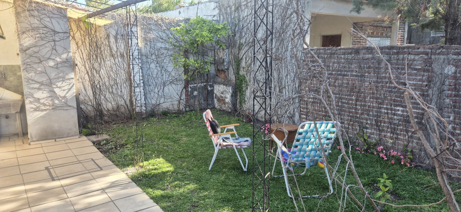 EL PALENQUE  2259