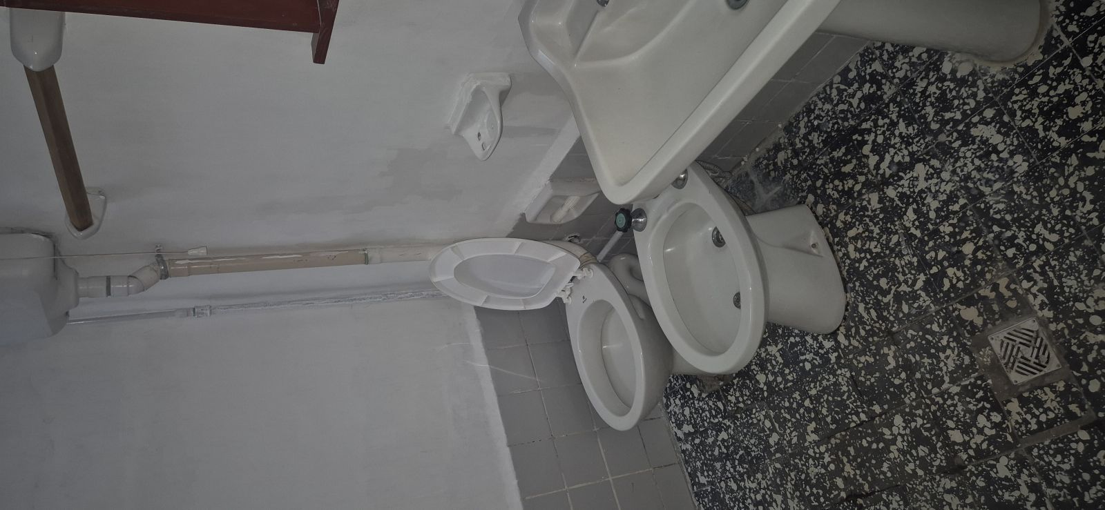 EL PALENQUE  2259
