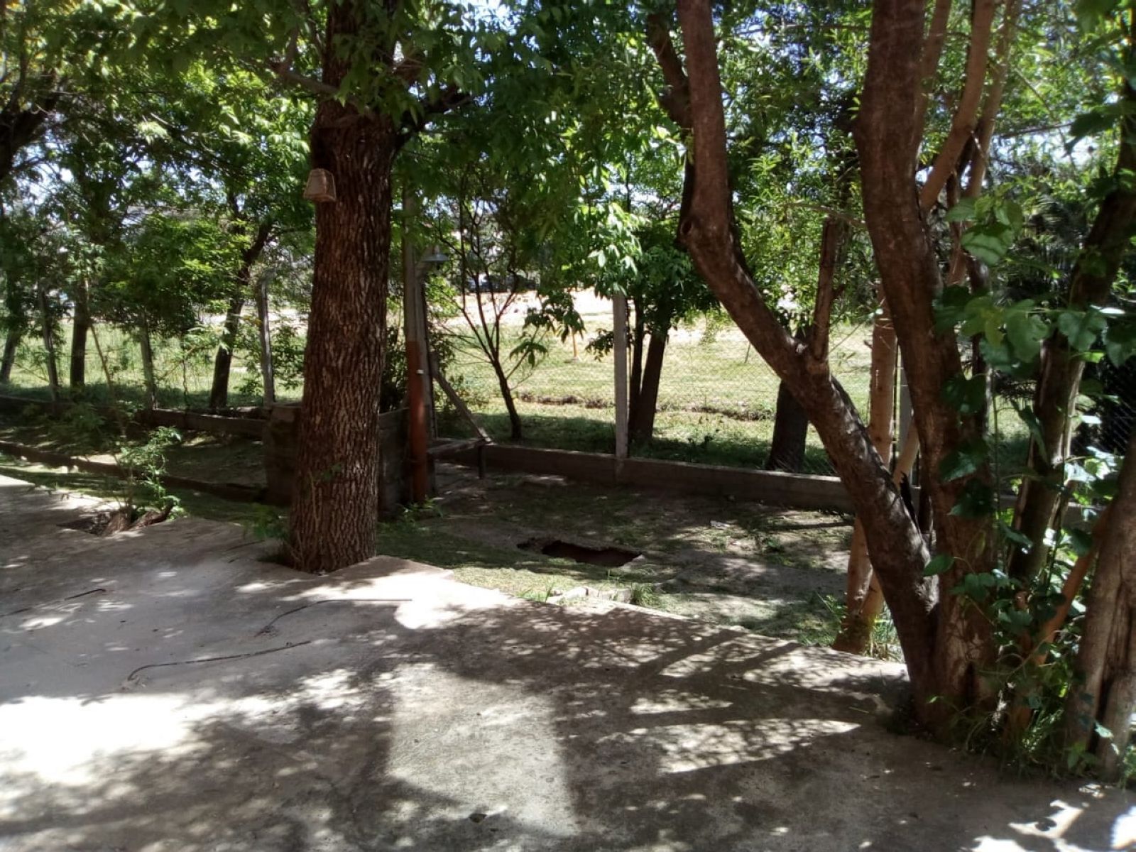 DEL FOGON 2365