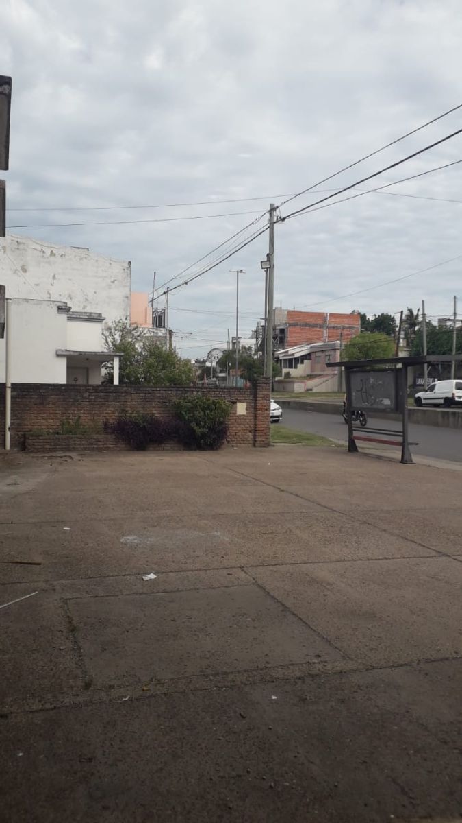 ALMAFUERTE AVDA. 2454