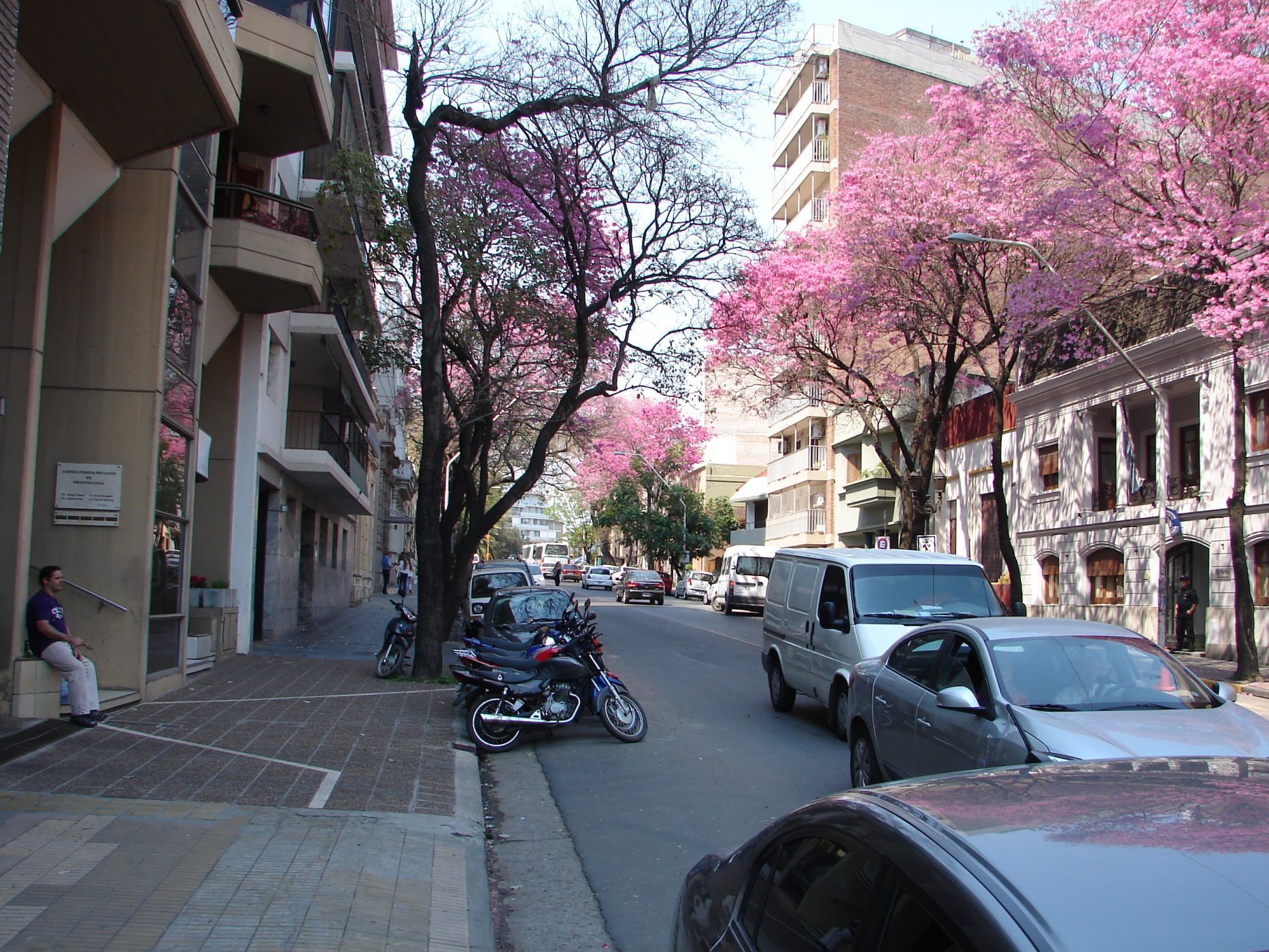 ALAMEDA DE LA FEDERACION 188