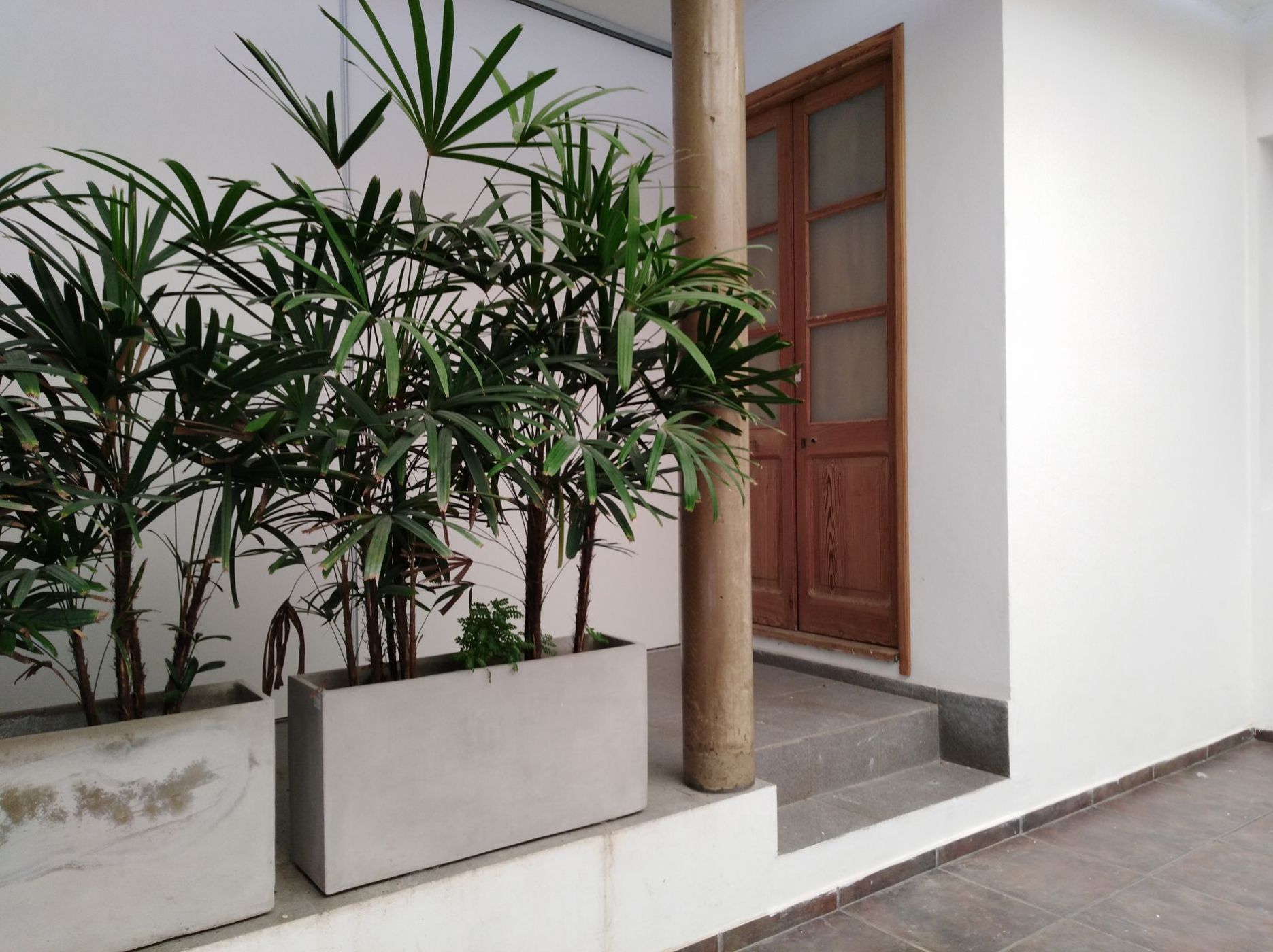 SEBASTIAN VAZQUES 269