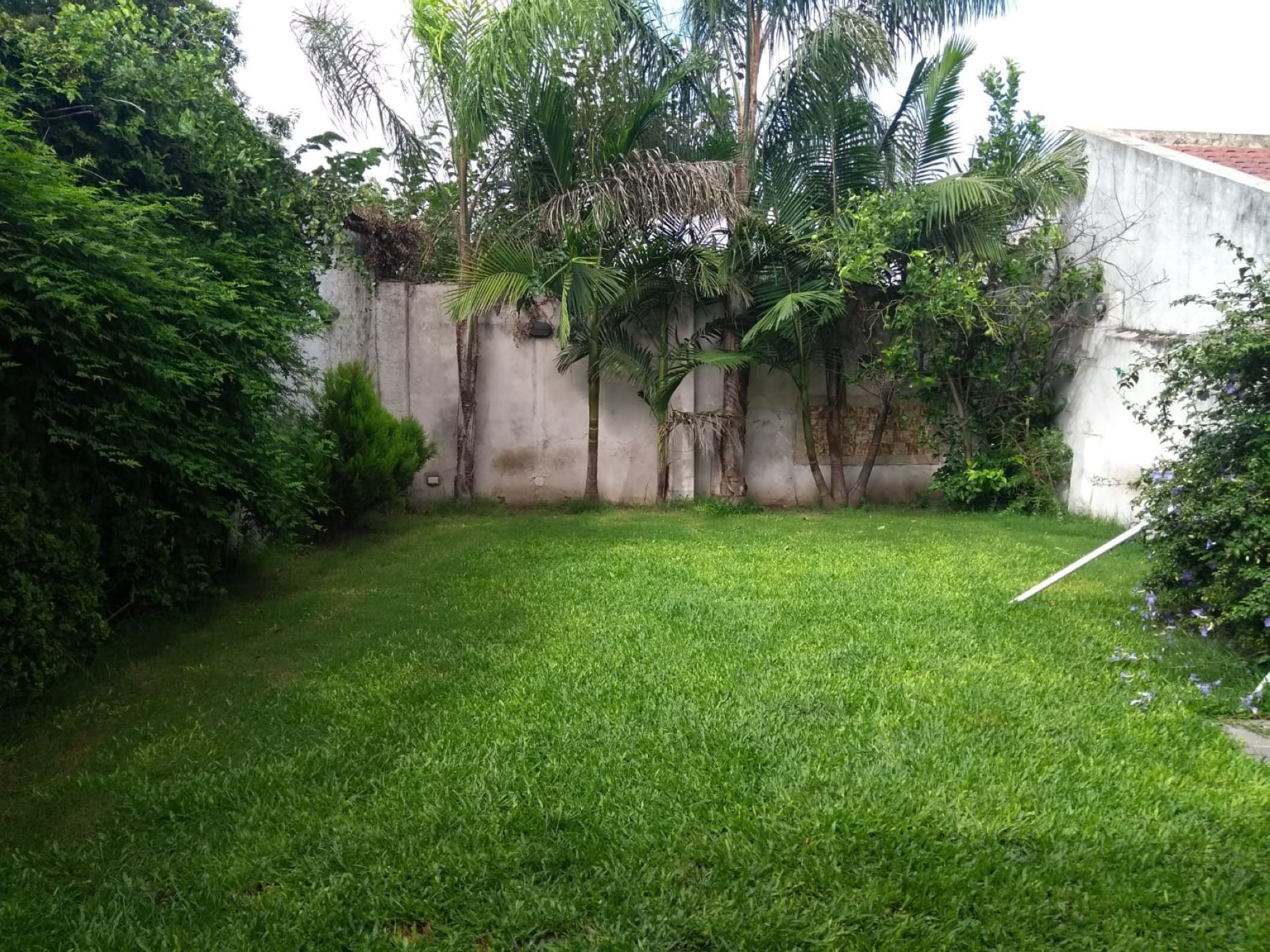 SEBASTIAN VAZQUES 269