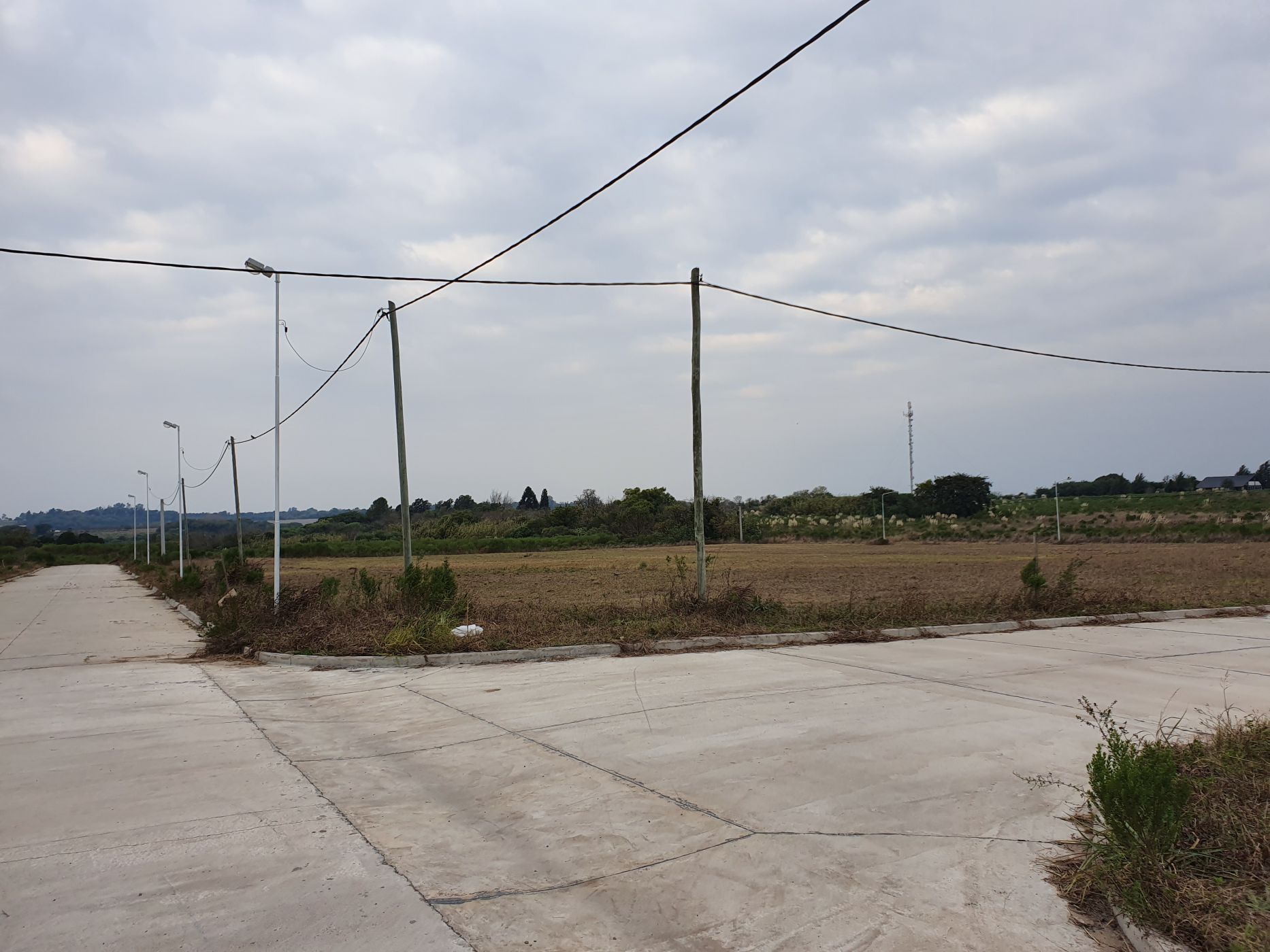 LOPEZ JORDAN y Etcheverria 