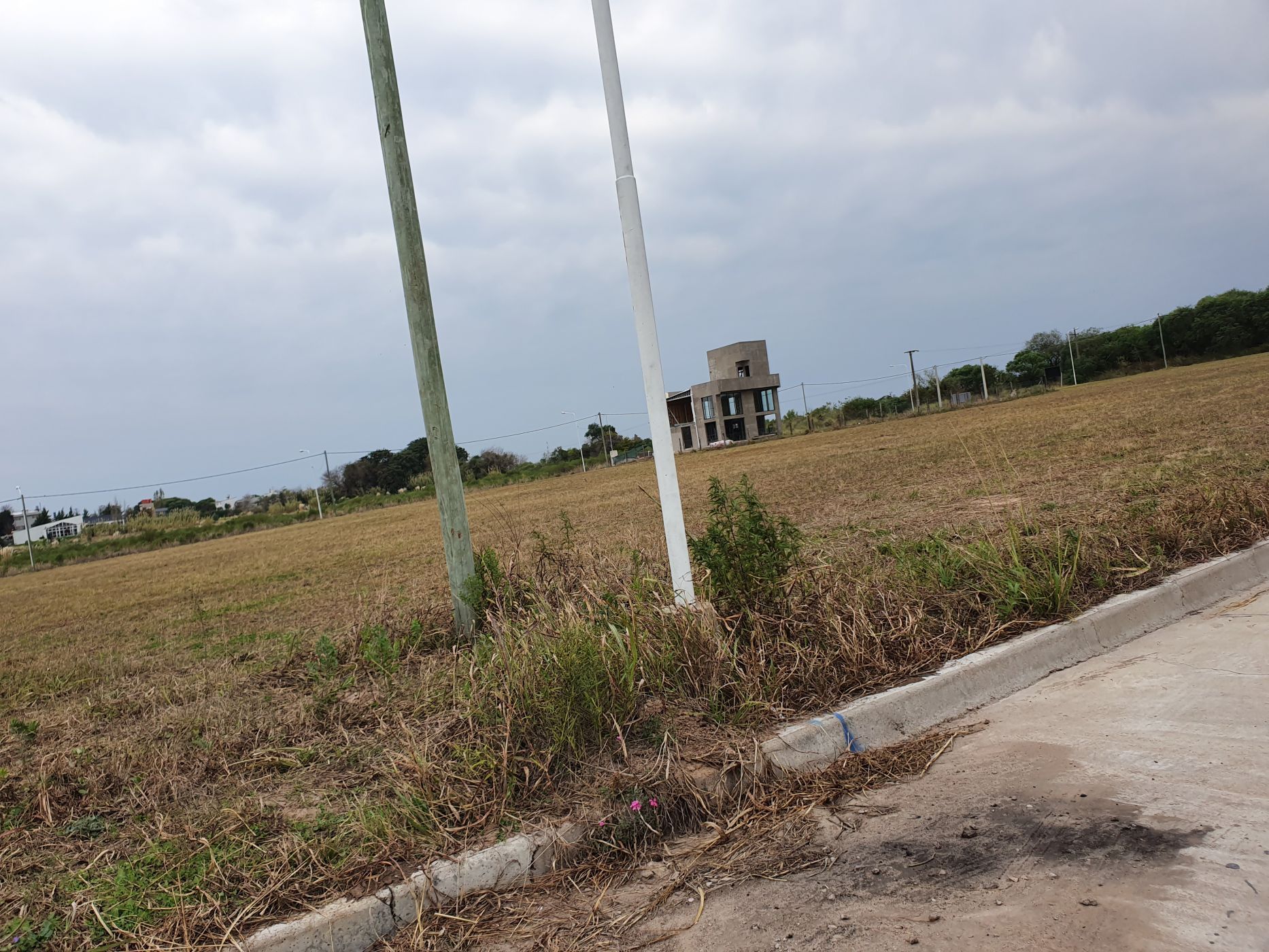 LOPEZ JORDAN y Etcheverria 