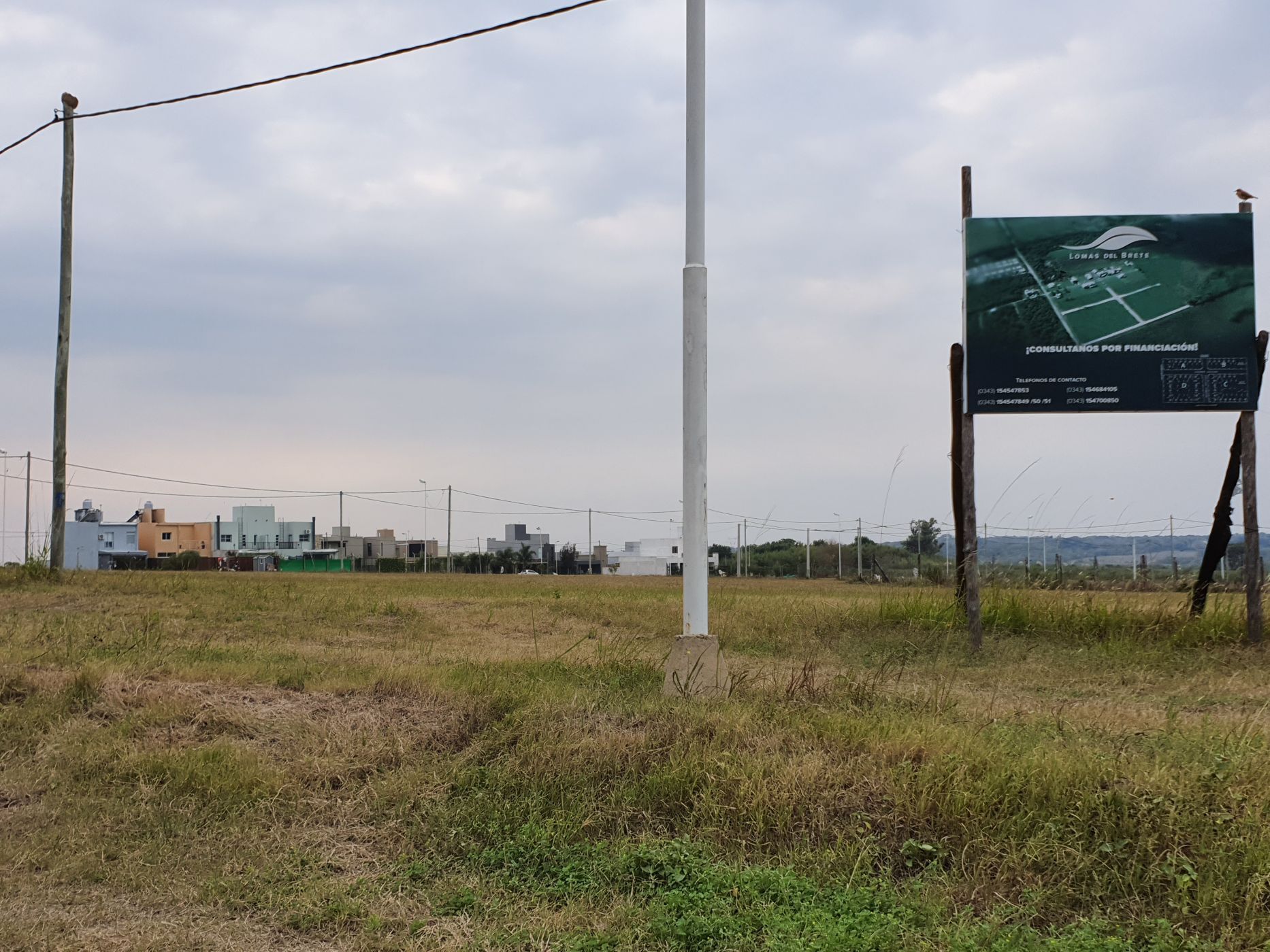 LOPEZ JORDAN y Etcheverria 