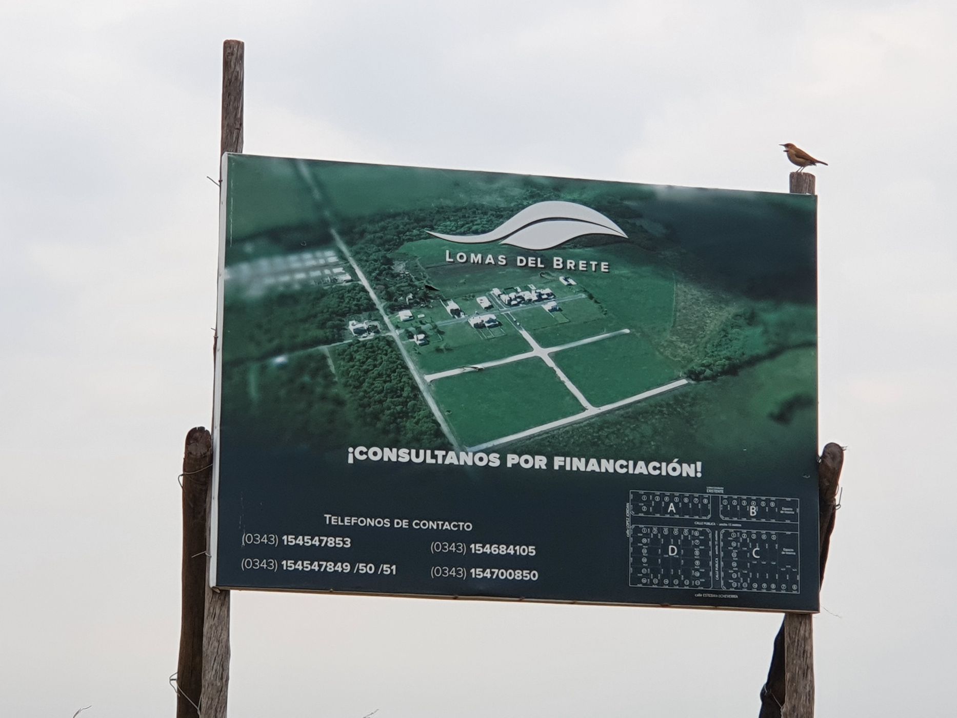 LOPEZ JORDAN y Etcheverria 