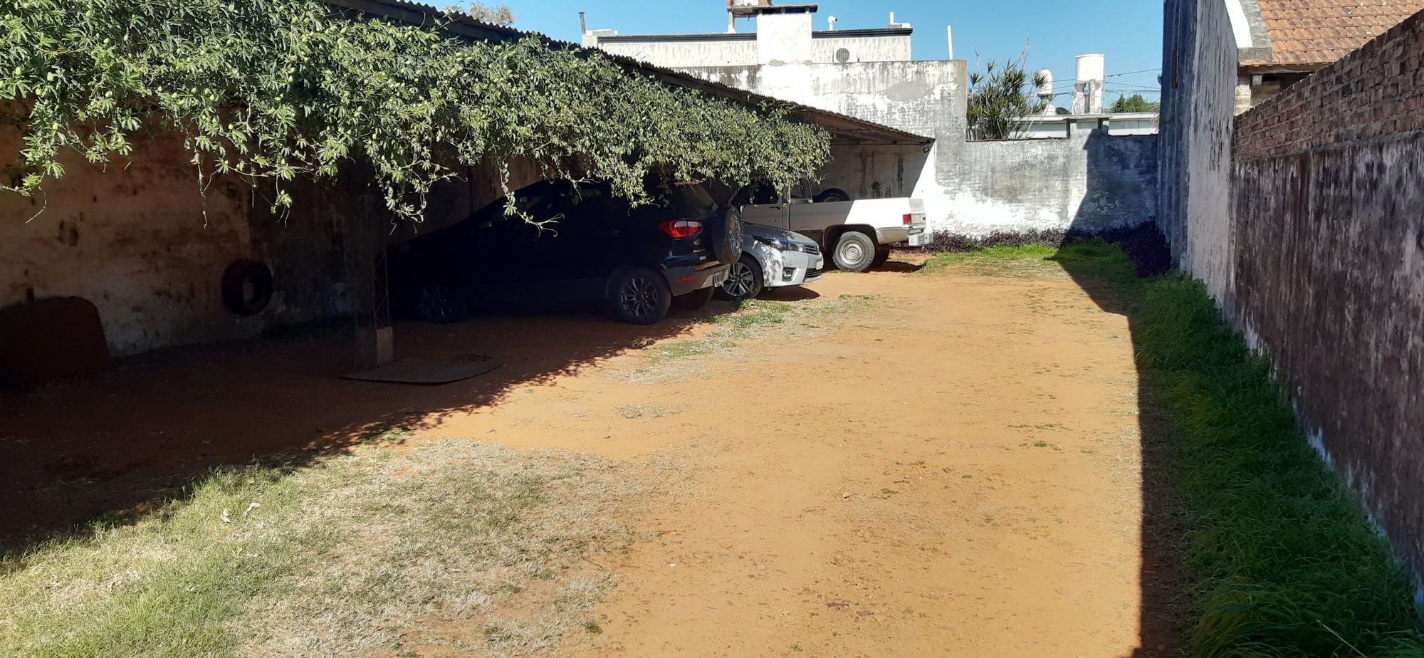 ALVARADO   GRAL. 1445