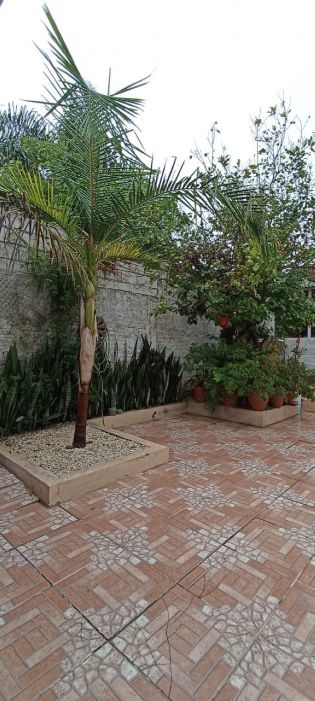 JUAN BAEZ 1260