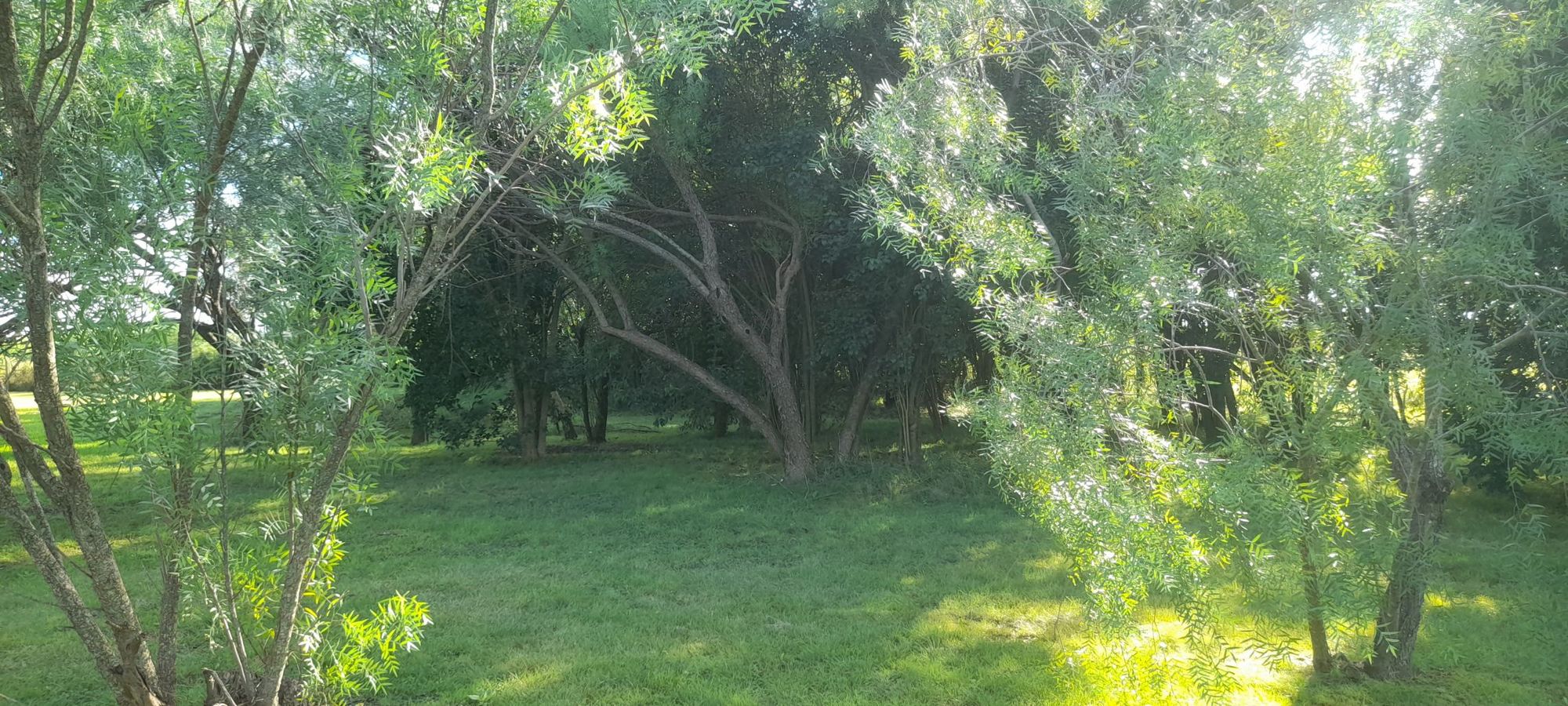 JORGE ROBINSHON 5025