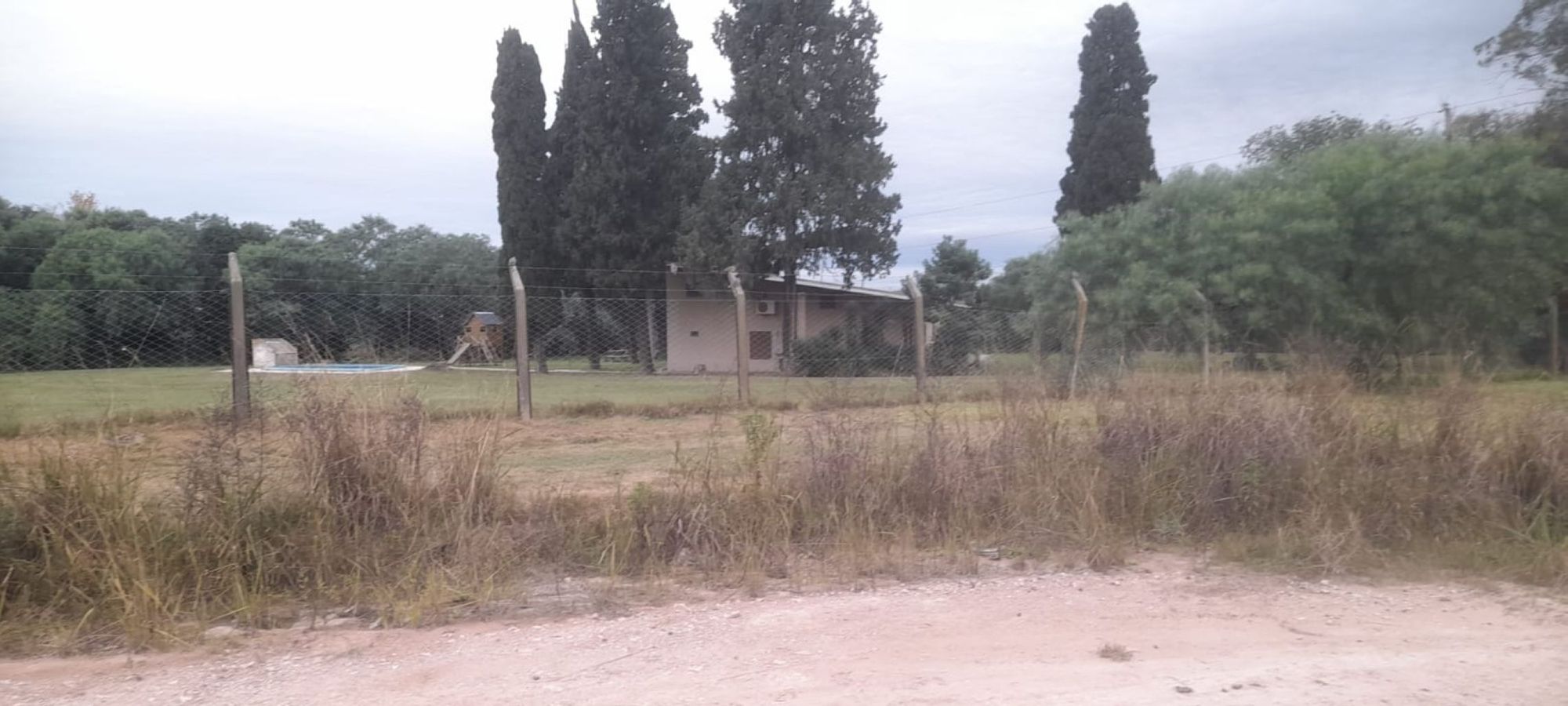 JORGE ROBINSHON 5025