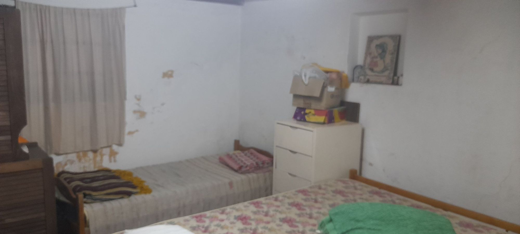 JORGE ROBINSHON 5025