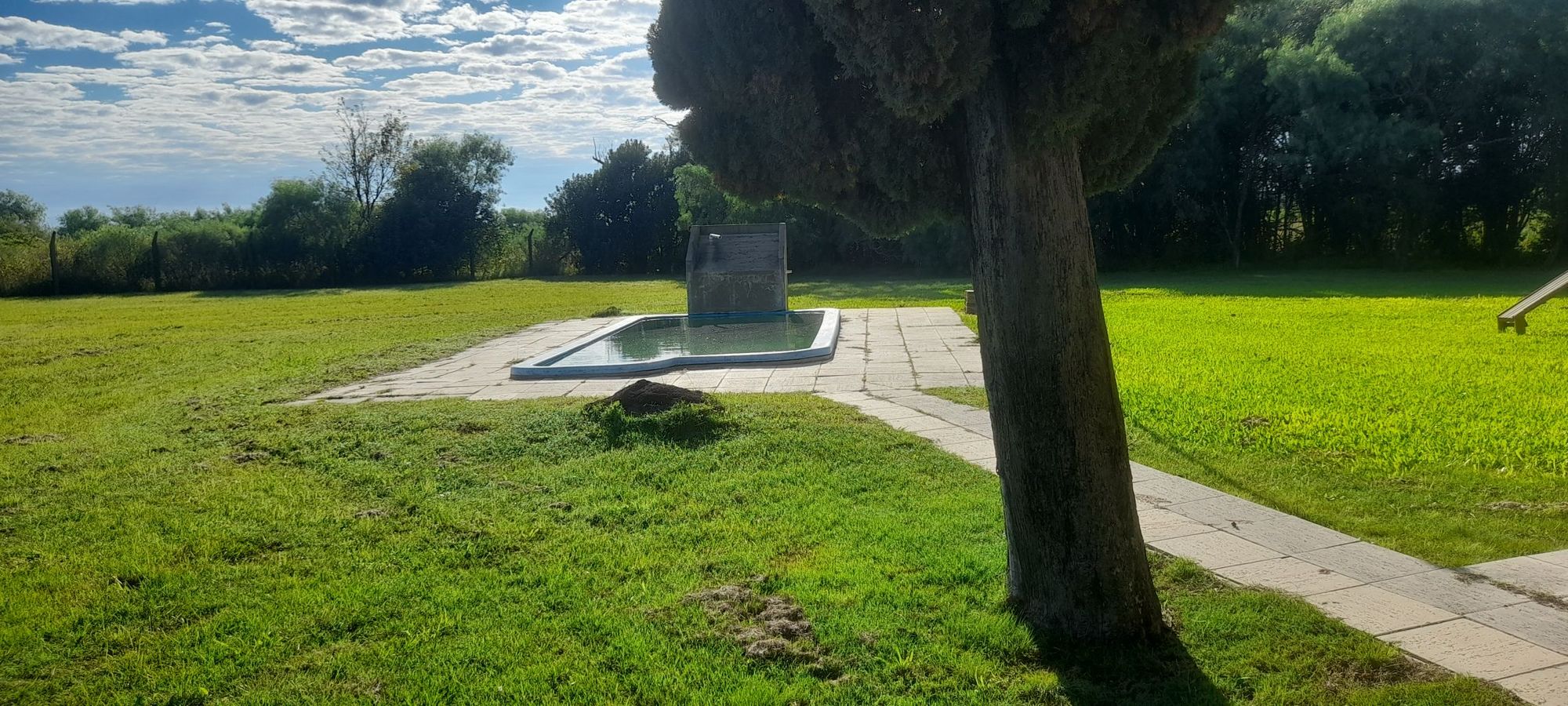 JORGE ROBINSHON 5025