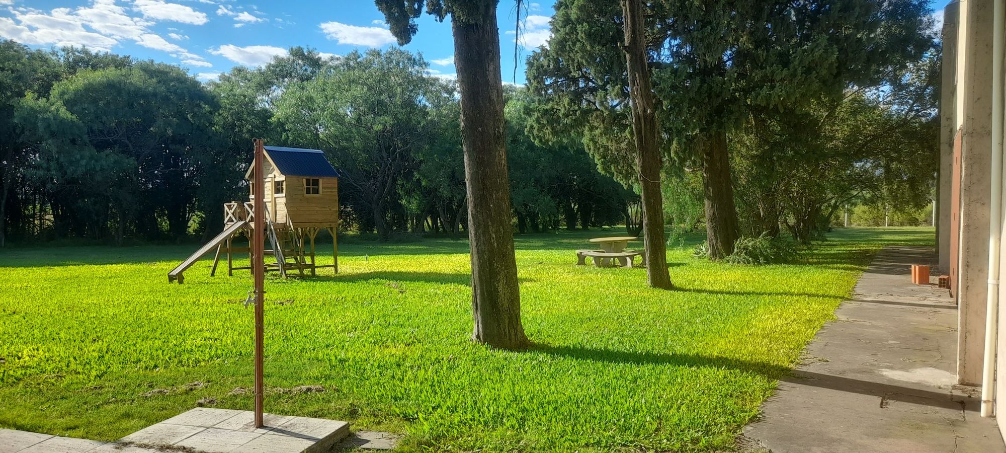 JORGE ROBINSHON 5025