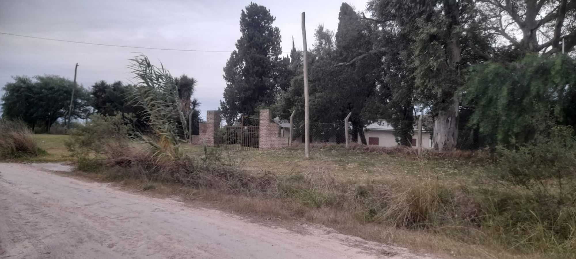 JORGE ROBINSHON 5025