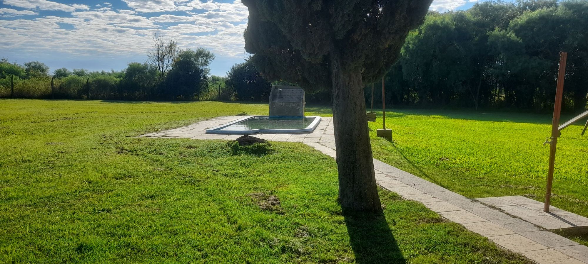 JORGE ROBINSHON 5025