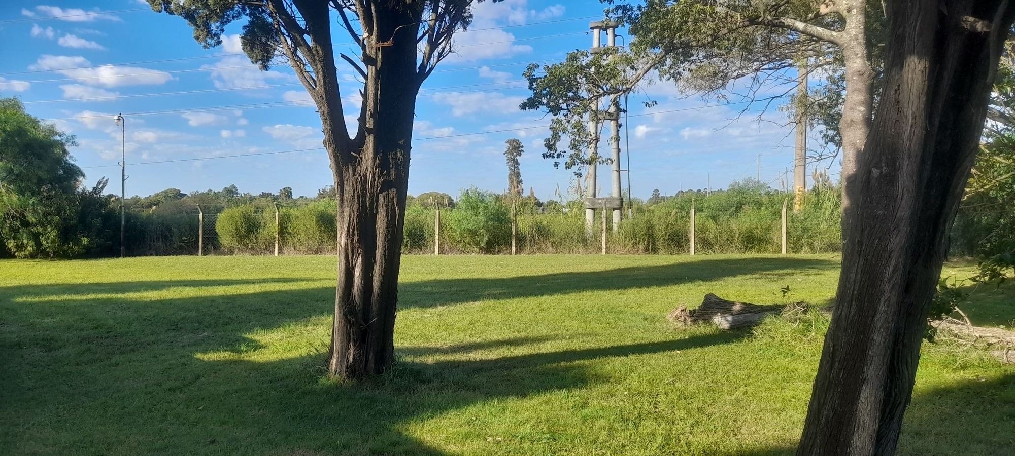 JORGE ROBINSHON 5025