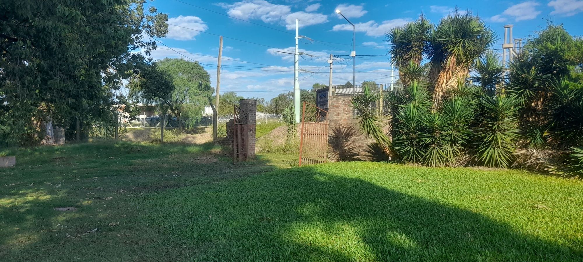 JORGE ROBINSHON 5025