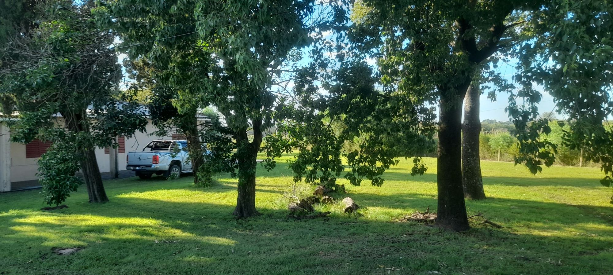 JORGE ROBINSHON 5025