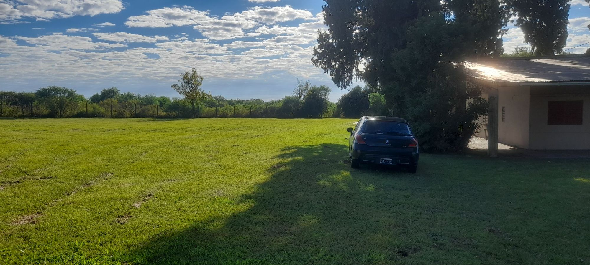 JORGE ROBINSHON 5025