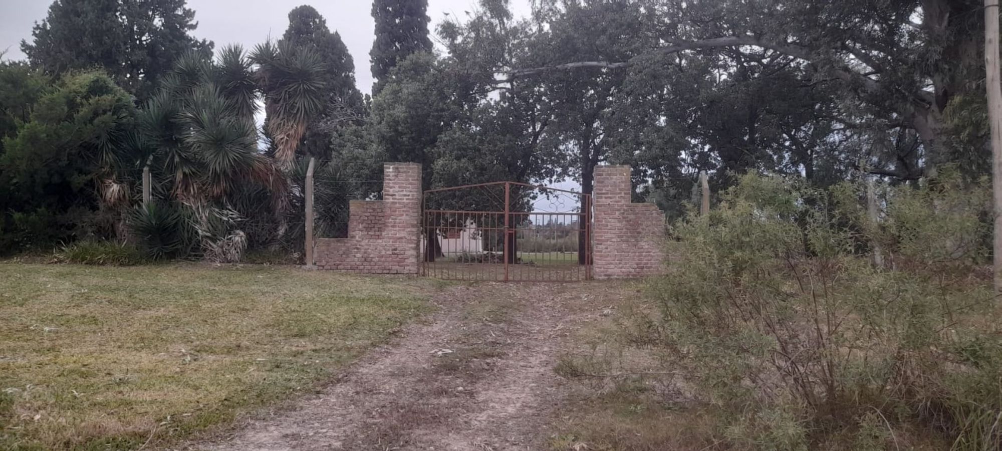 JORGE ROBINSHON 5025