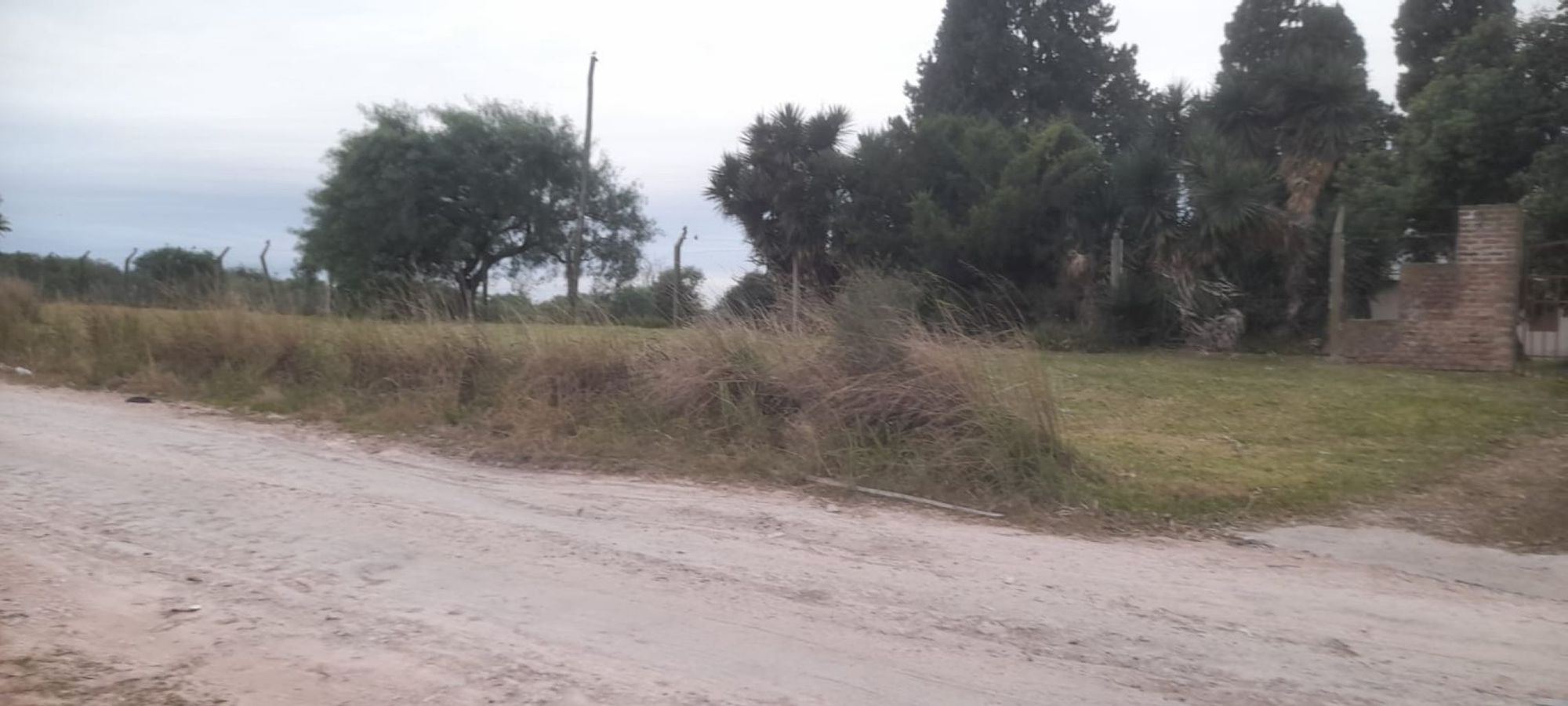 JORGE ROBINSHON 5025