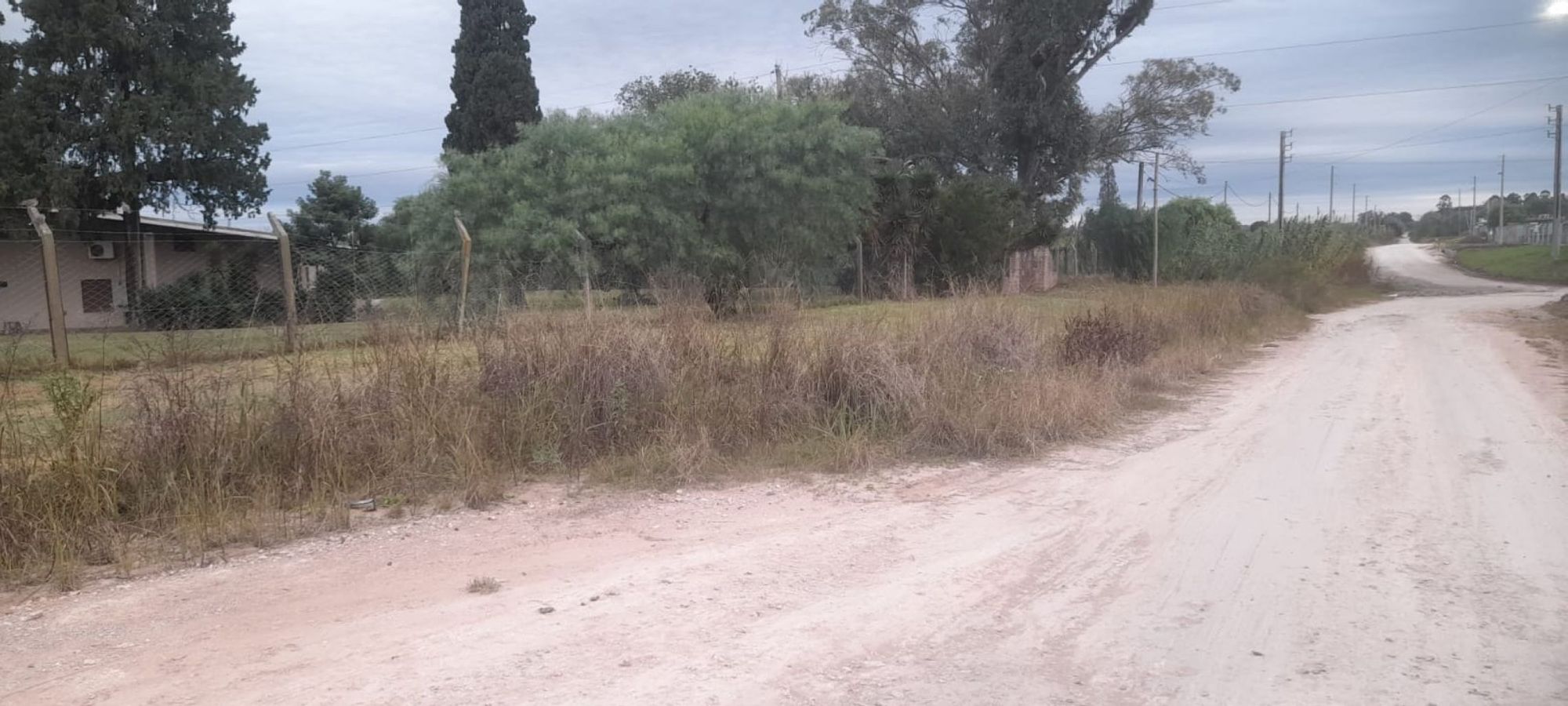 JORGE ROBINSHON 5025