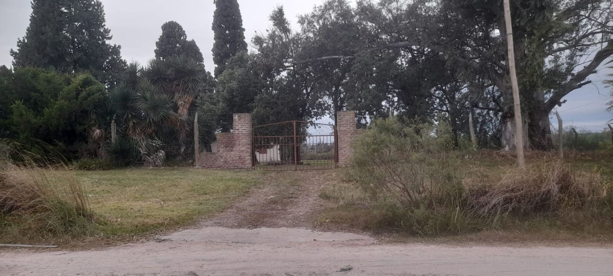 JORGE ROBINSHON 5025